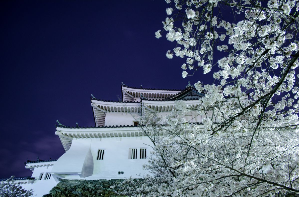 和歌山城（和歌山県）