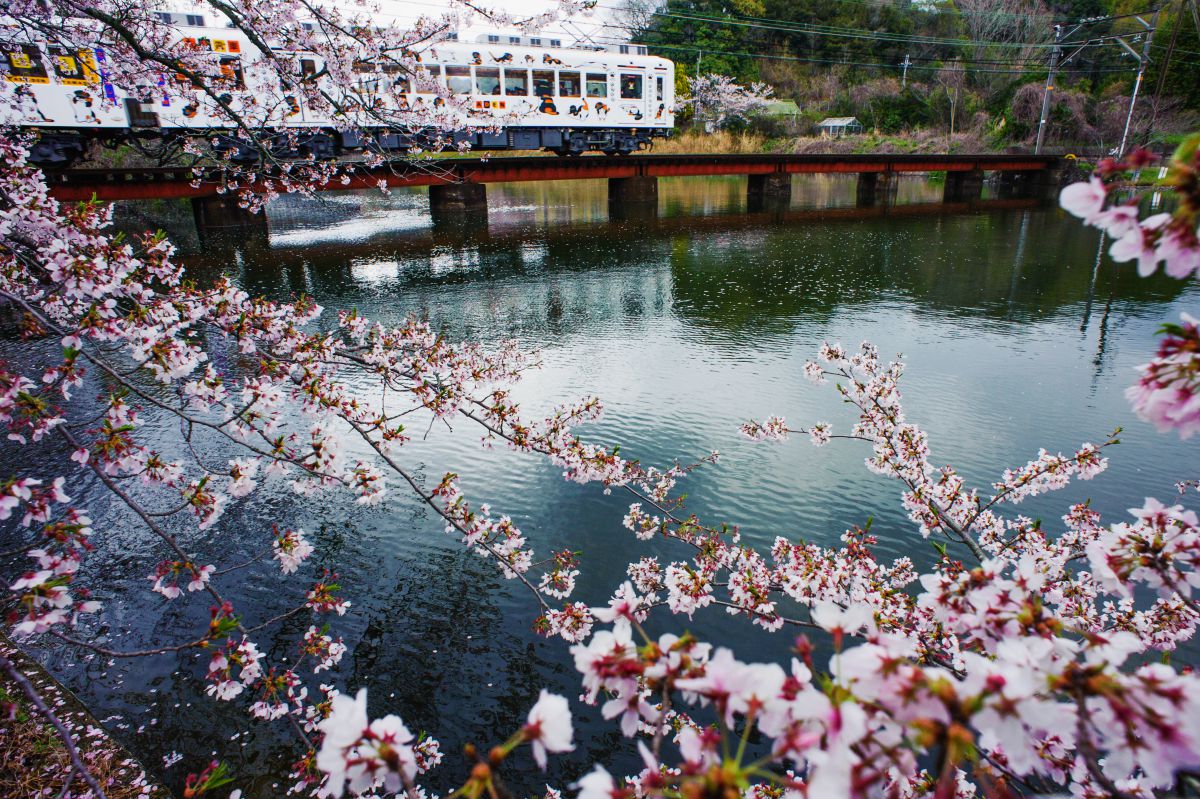 大池遊園