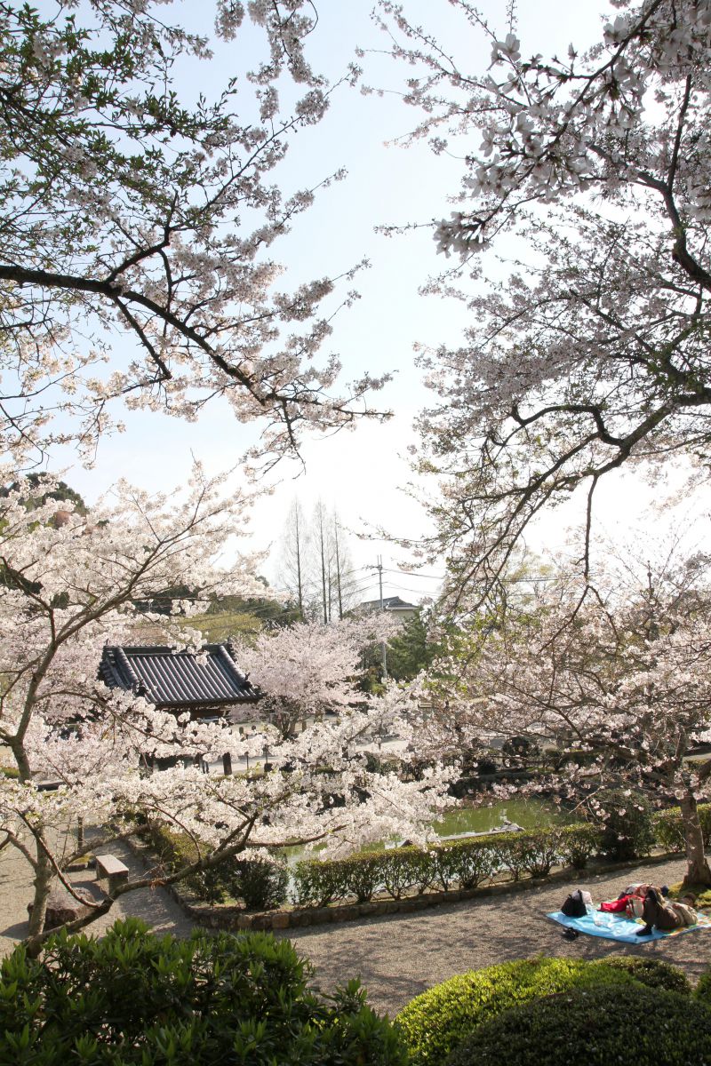 粉河寺