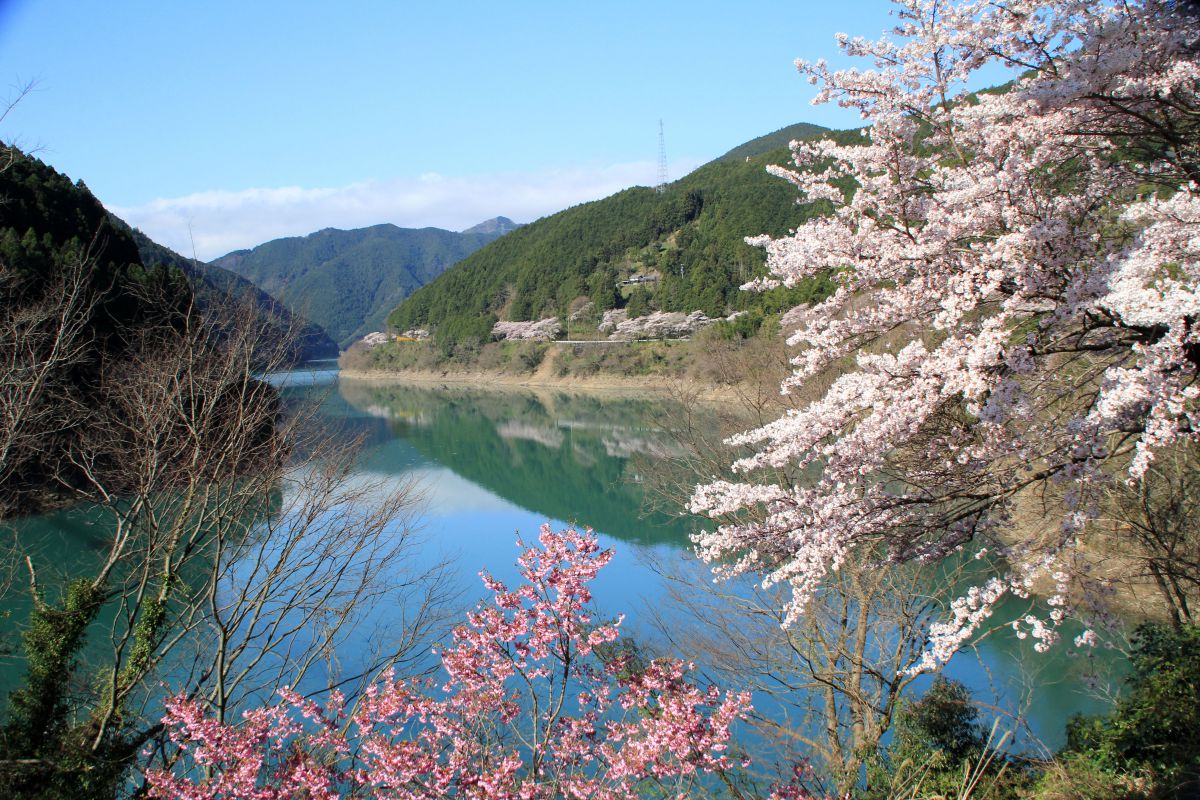 二川ダム（和歌山県）