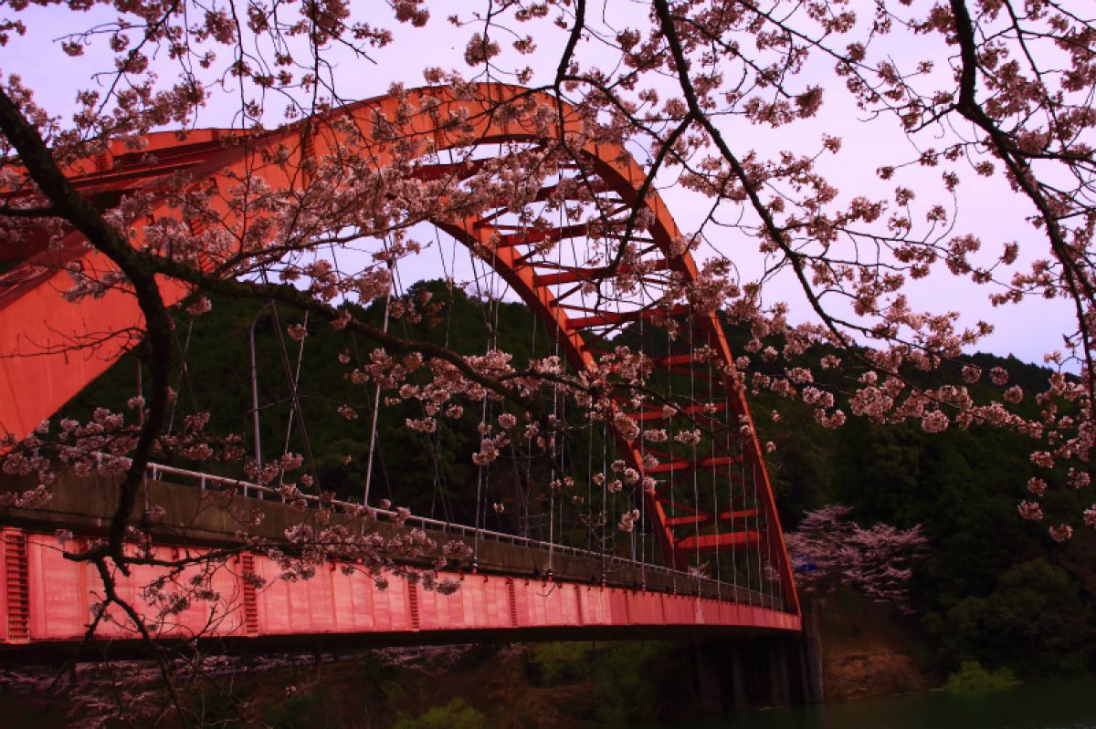 七川ダム（和歌山県）