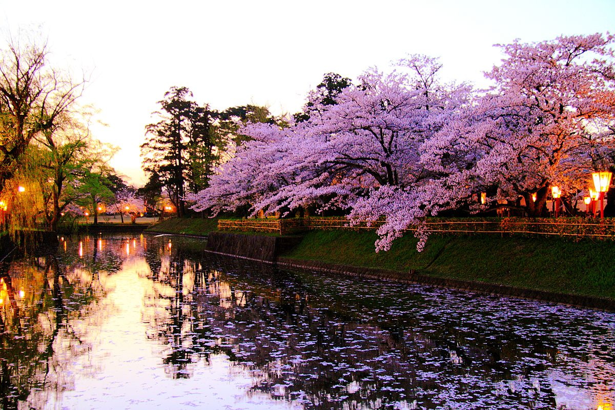 鶴岡公園