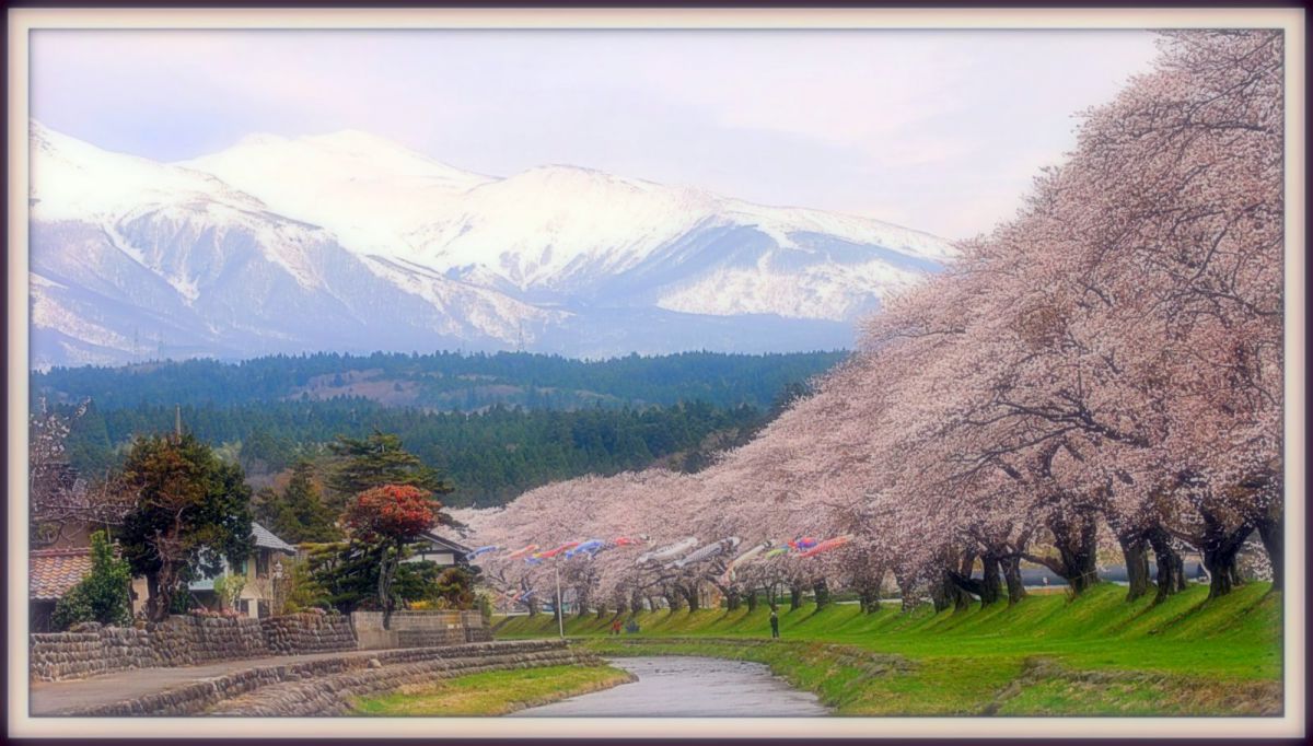 中山河川公園（山形県）