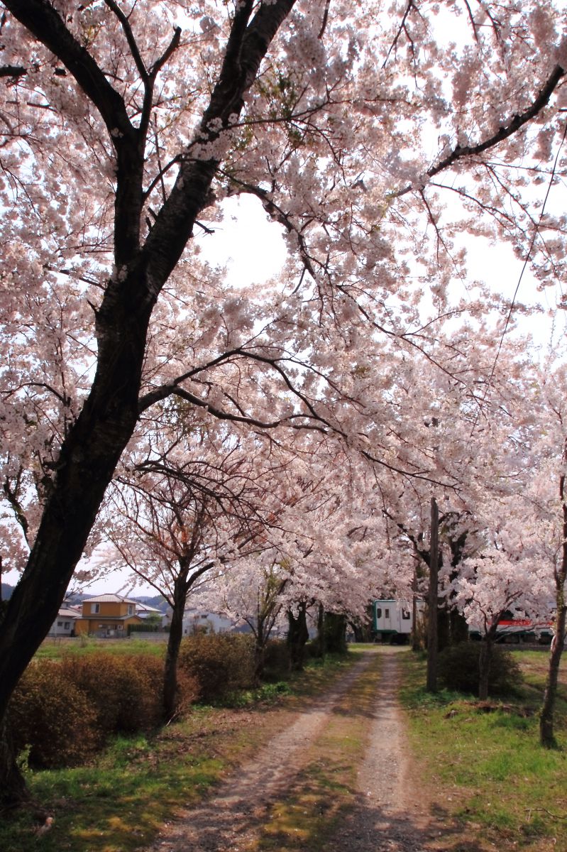 陸羽西線（山形県）