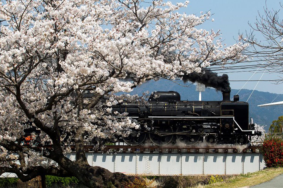 やまぐち号