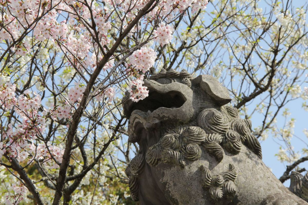 指月公園（山口県）