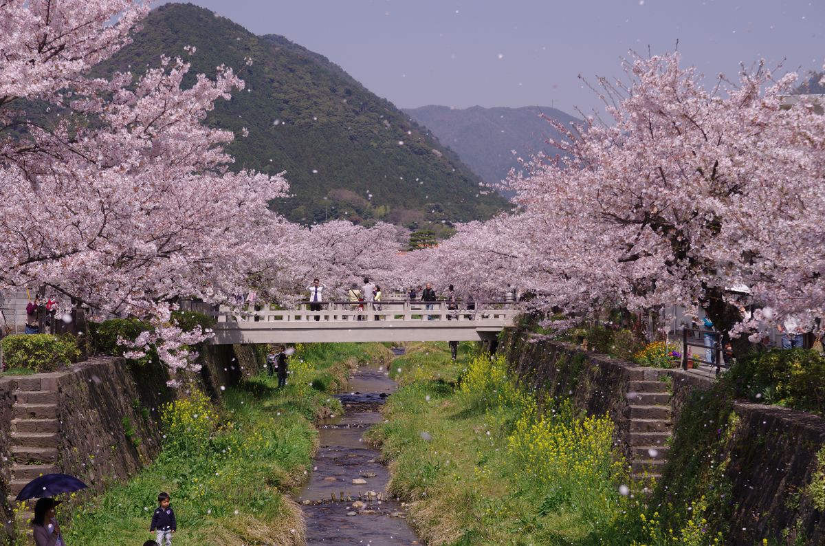 一の坂川（山口県）