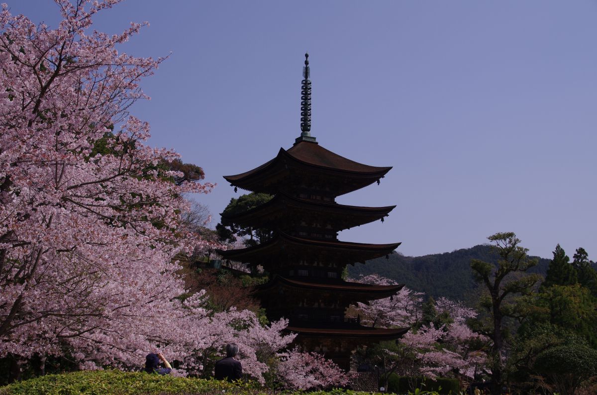 瑠璃光寺（山口県）