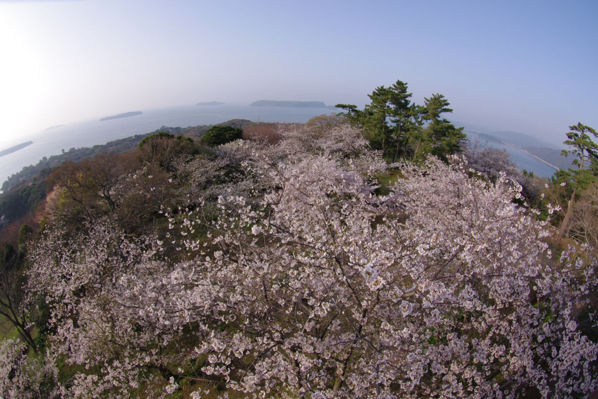 笠山（山口県）