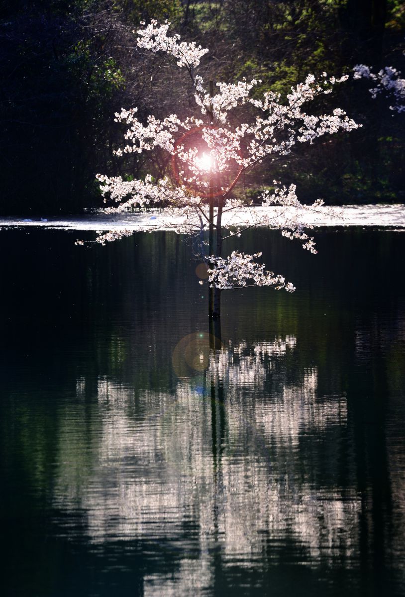 大原湖（山口県）