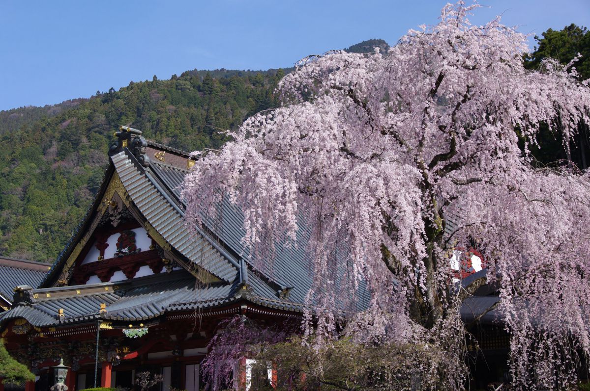 身延山久遠寺（山梨県）