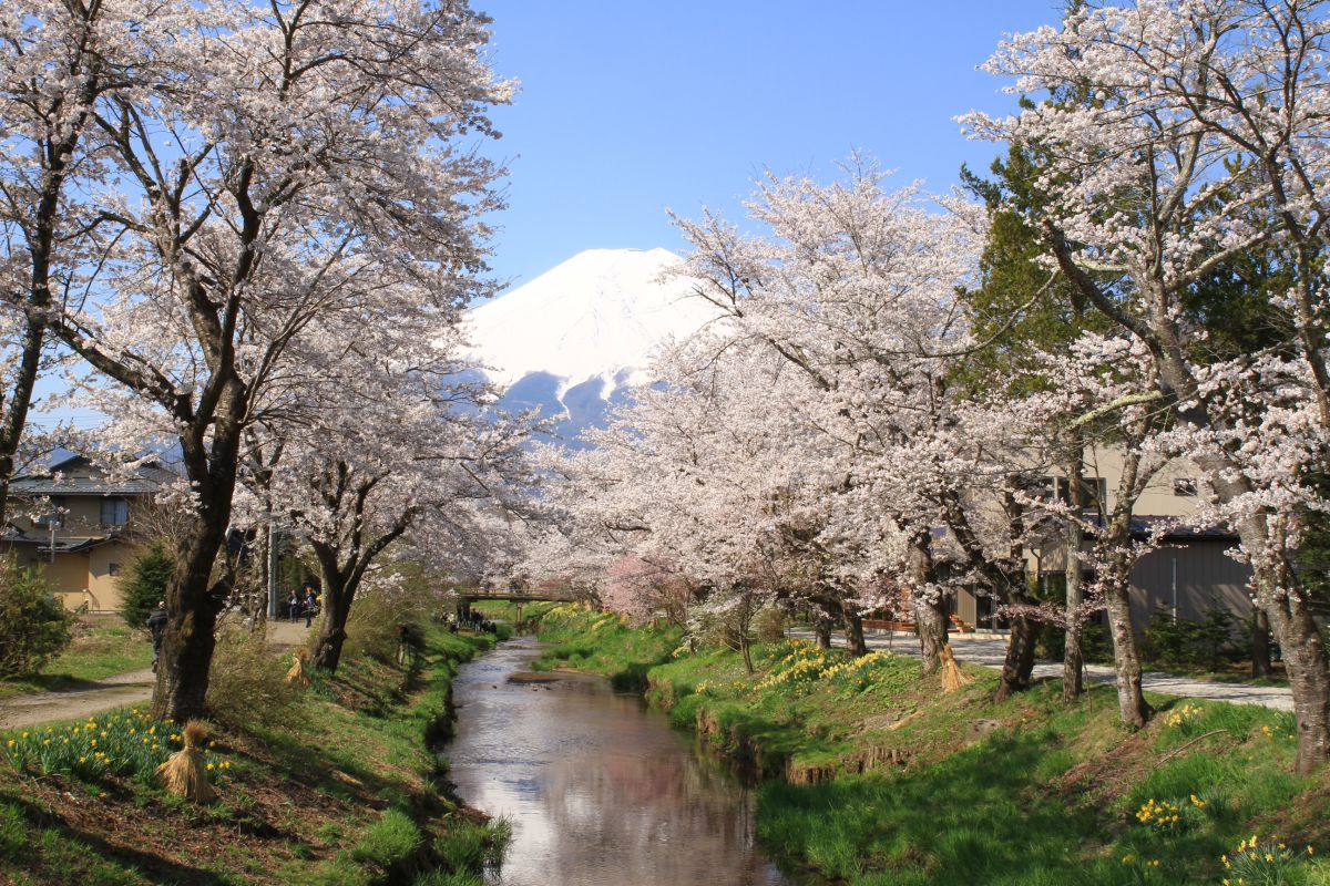 忍野（山梨県）