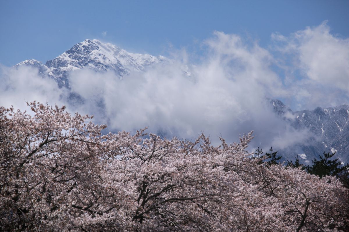 清春芸術村