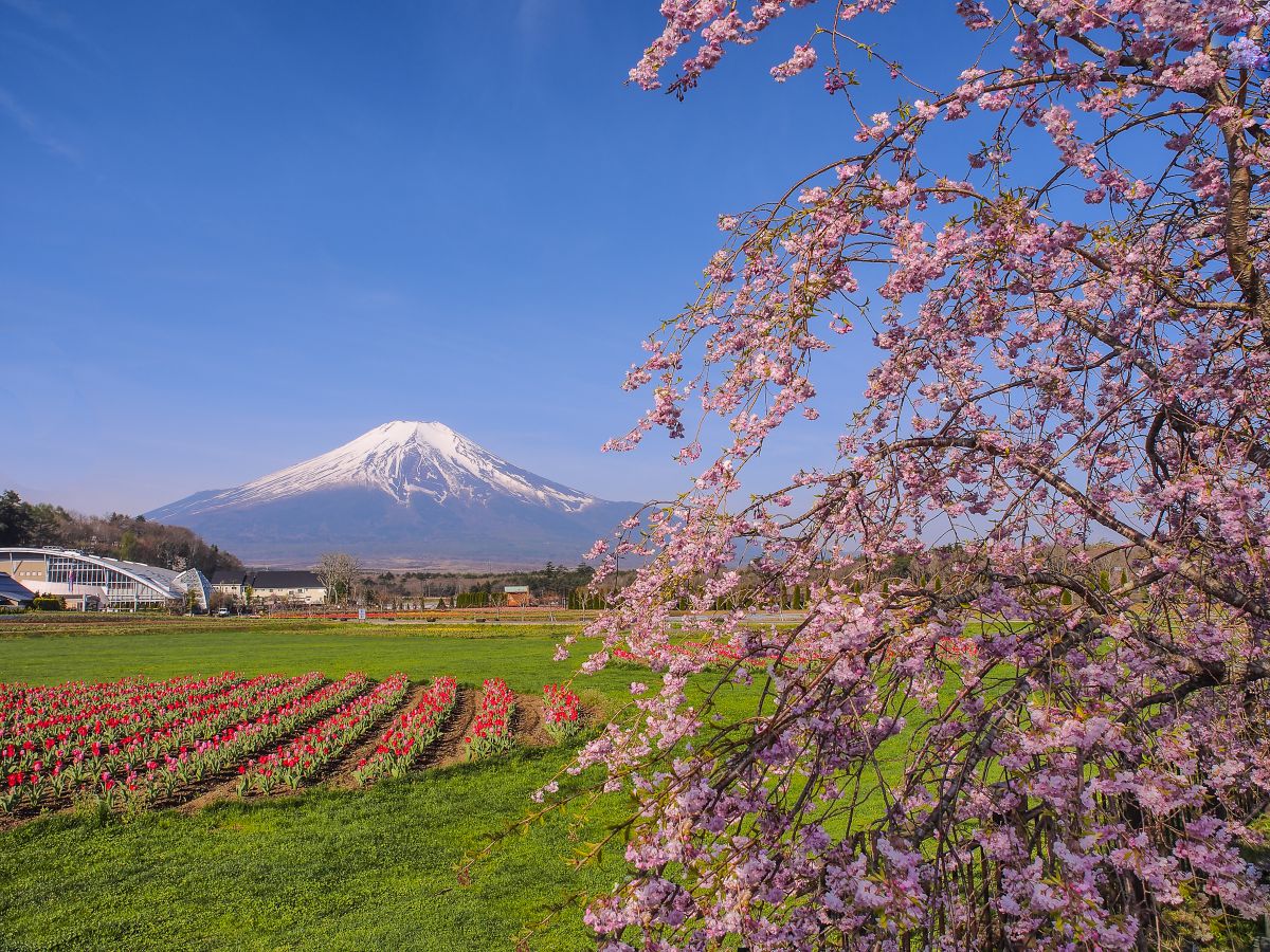 花の都公園（山梨県）