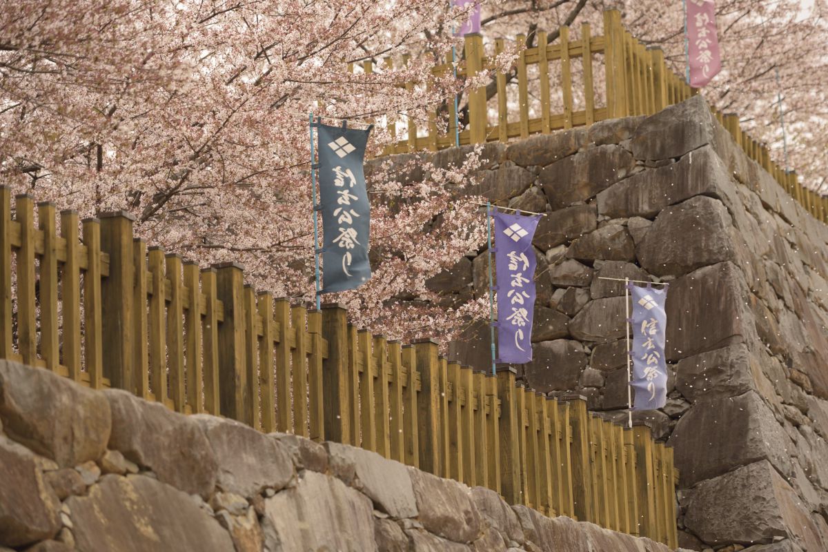 舞鶴城公園（山梨県）