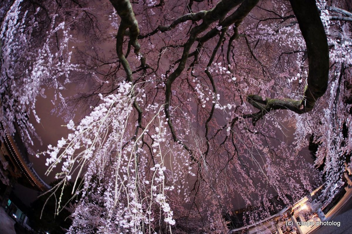 妙了寺（山梨県）