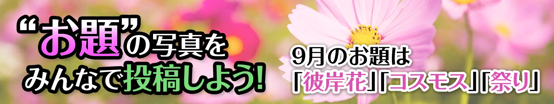 “お題”の写真をみんなで投稿しよう!